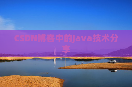 CSDN博客中的Java技术分享